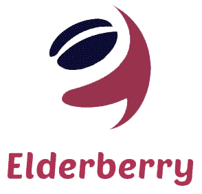 Elderberry Tech logo